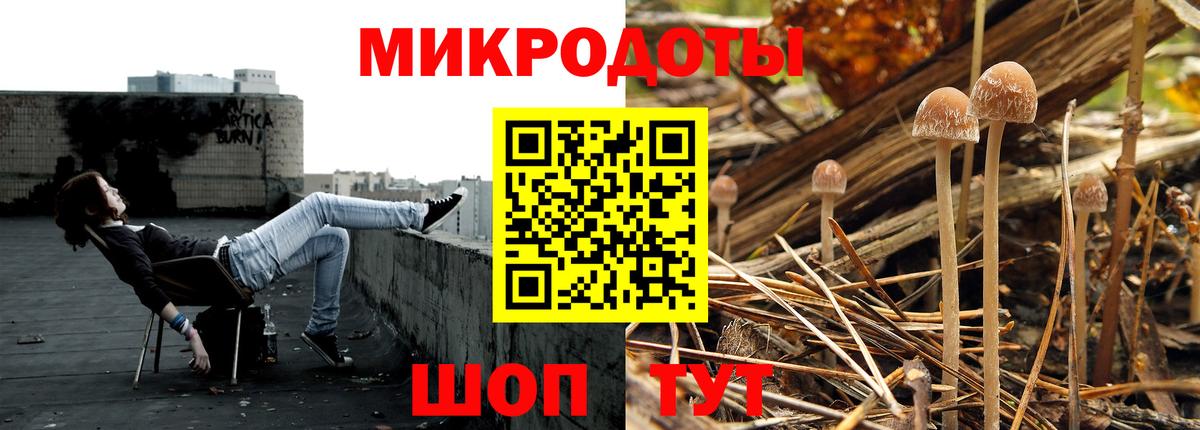 Псилоцибиновые грибы мицелий Богданович
